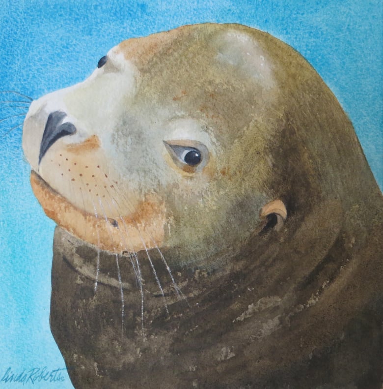 Image of "Sea Lion" original watercolor