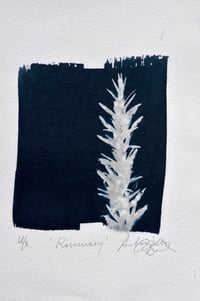 Original Cyanotype Print - Rosemary 