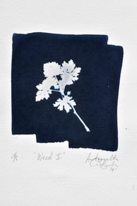 Original Cyanotype Print - Weed II 