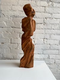 Image 3 of Hartwick Hanson / "Hylic 2"