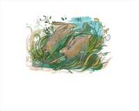 Image 2 of Hares Heyday