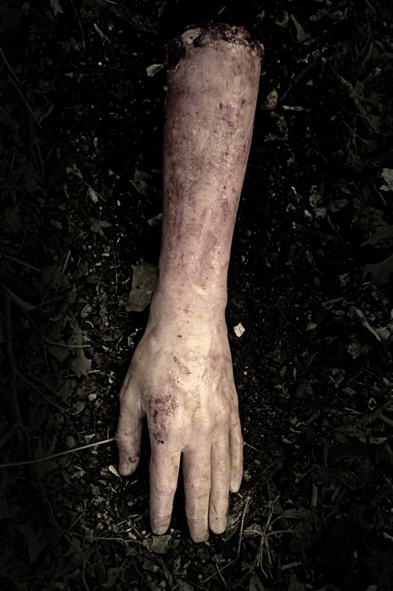 Image of Decaying Arm