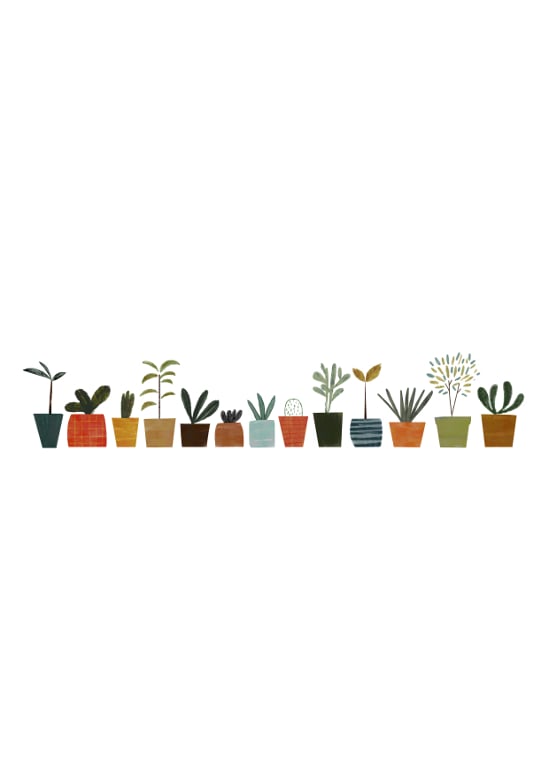 Image of Plants Print