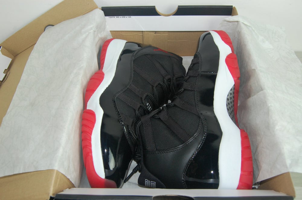 Image of Jordan Bred 11's DS