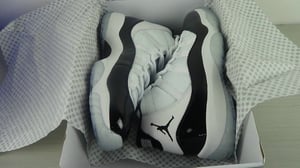 Image of Jordan Concord 11's DS