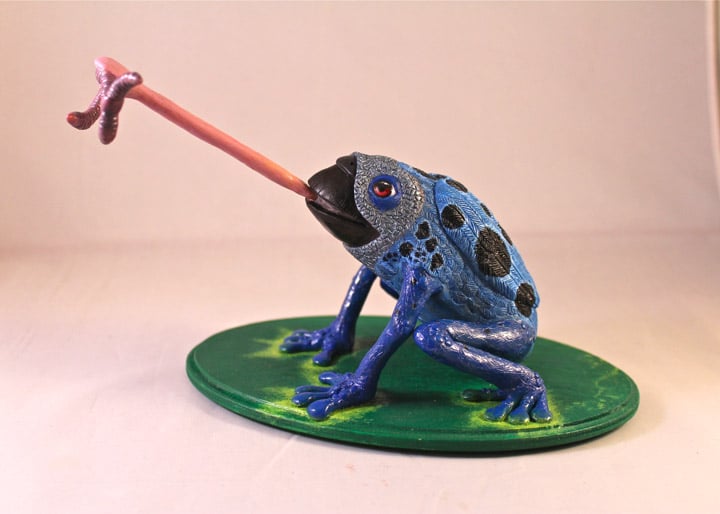 Image of The Elusive Frog-Billed Red-Eye