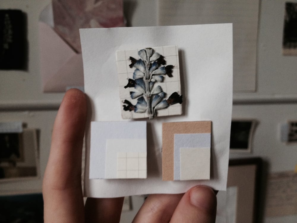 Image of Lavender papers pins