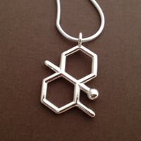 Image 1 of geosmin necklace