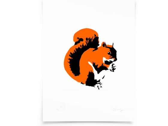 Image of Squirrel on paper - Screenprint