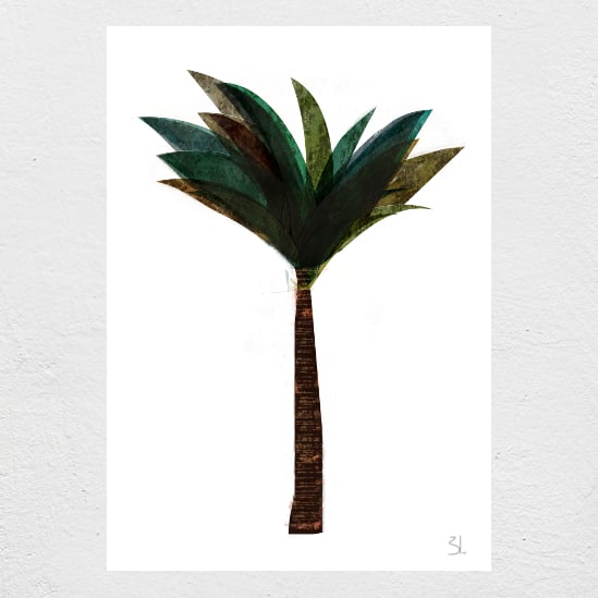 Image of Palm Tree Print