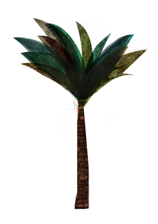 Image of Palm Tree Print