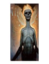 ENLIGHTENMENT *SPECIAL COLLECTOR'S EDITION*