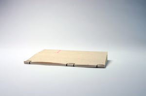 Image of Souvenirs of Vulnerability