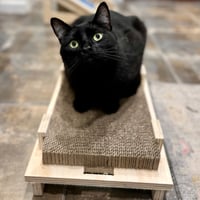 Image 9 of Heavy Duty Cardboard Scratcher — Flat