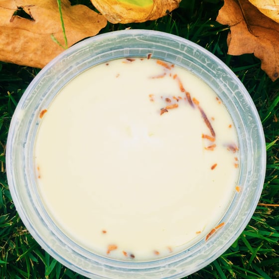 Image of WETATi Coconut Crème RAW SHEA BUTTER