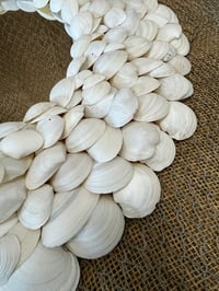 Image 5 of Seashell Mirror Shite 24”