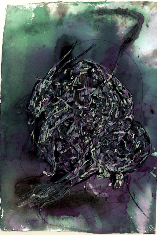 Image of Capricornus 