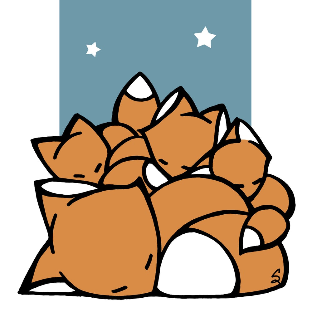 Image of Sleeping Foxes