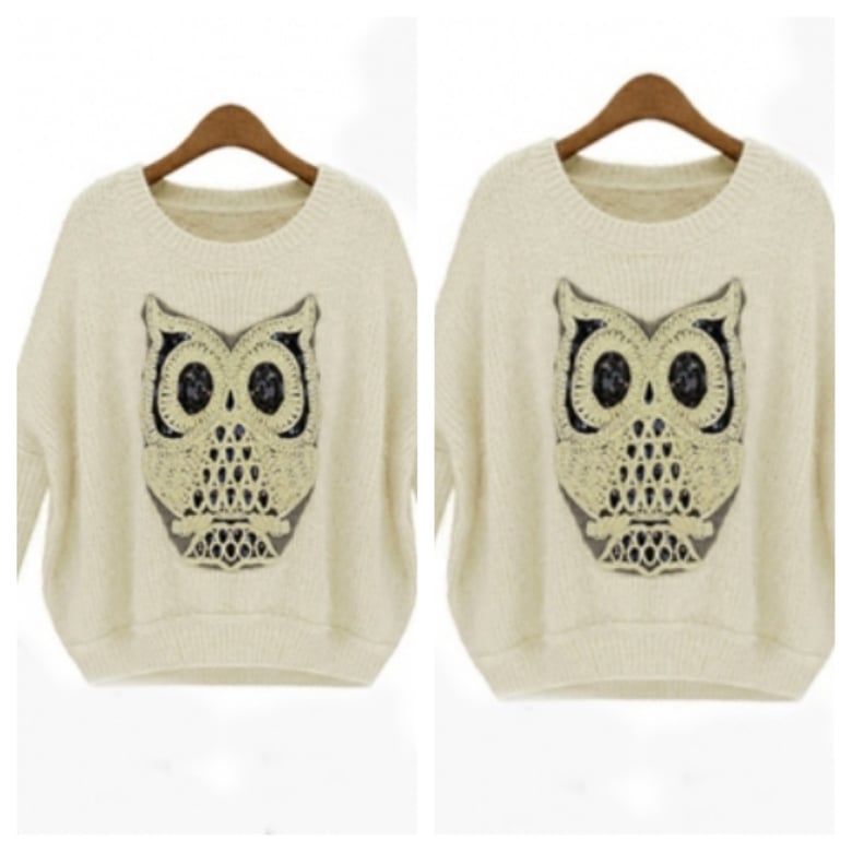 Image of Owl Sweater with Sequins