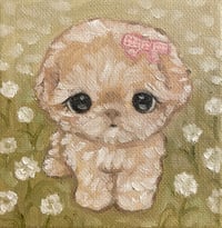 Image 1 of puppy