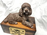 Image 10 of Custom Engraved White Poodle Urn Wings Angel Pet Portrait Cremation Ashes