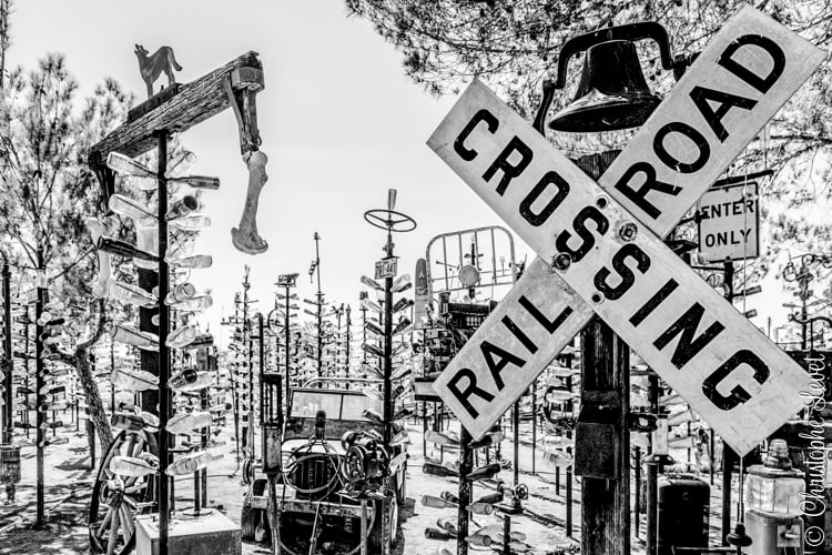 Image of The Bottle Tree ranch