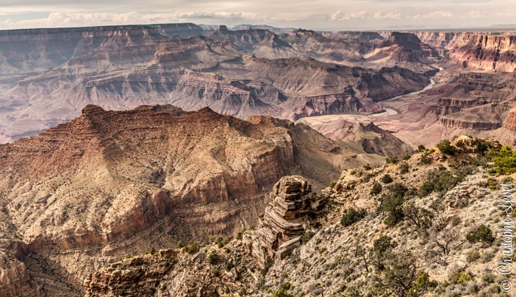 Image of The Canyon