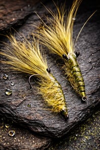 Image 1 of Green Tide Shrimp