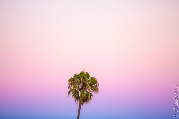 Image of The Pink California
