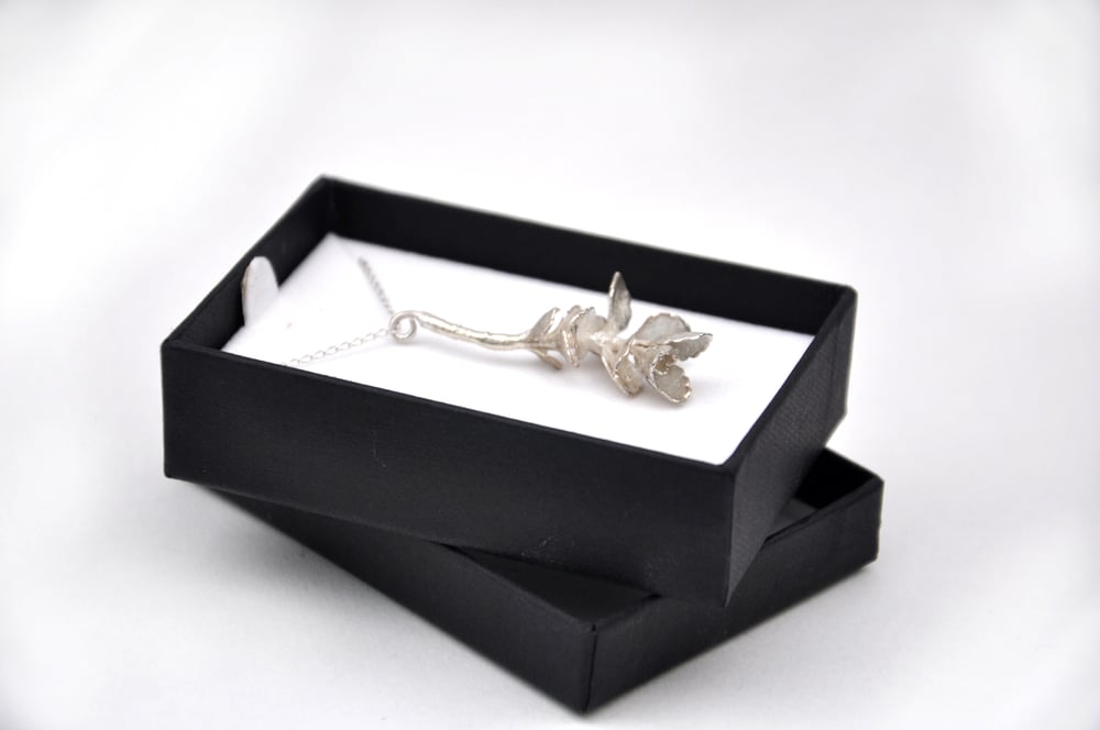 Image of Sterling silver Succulent (leaves)