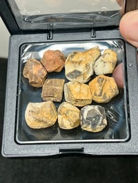 Image 2 of Staurolite Maltese Cross Crystals in Matrix | Mt Isa QLD Australia #2781