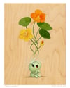 "Natalie Nasturtium" Giclee Print