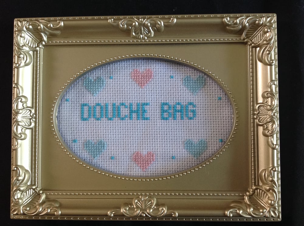 Image of Douche Bag cross stitch.