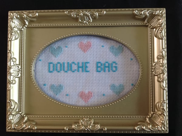 Image of Douche Bag cross stitch.