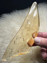 Image 2 of Copal Amber With Preserved Insects #2357