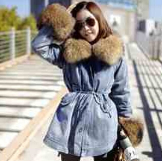 Image of Fall fur 