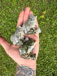 Image 1 of J Holders 