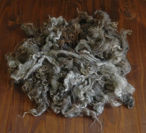 Image of  Organic Silver Loose Curls 