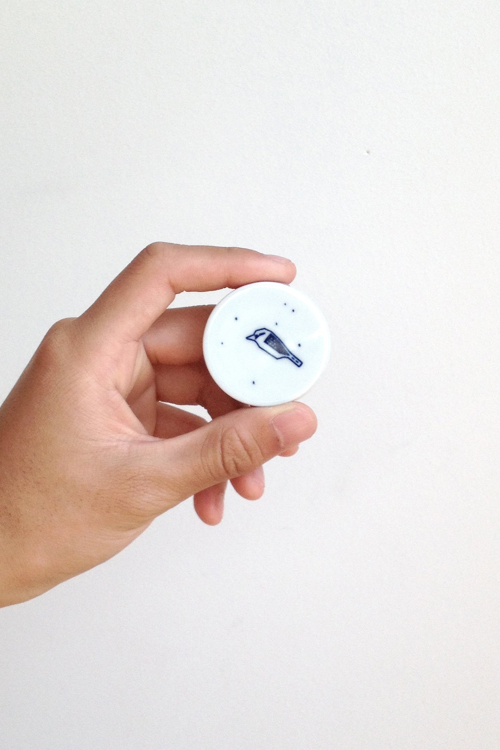 Bushman's Clock Skimming Stones