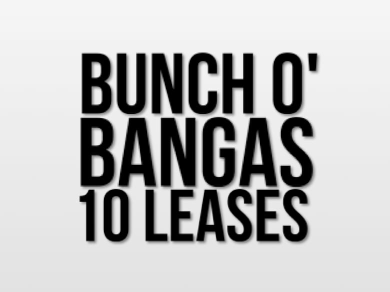 Image of Bunch O' Bangas - 10 Leases