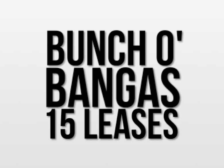 Image of Bunch O' Bangas - 15 Leases