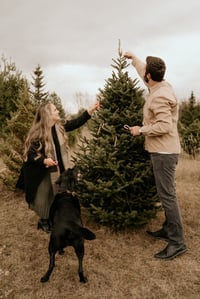 Image 4 of Tree Farm Minis 2025