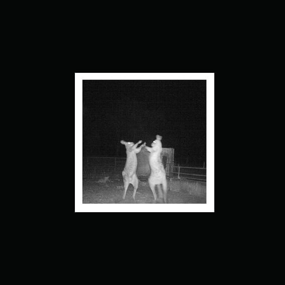 Image of Old Mate "It is what it is" LP