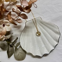 ΑΤΣΑΛΙΝΟ ΚΟΛΙΕ ΑΙΓΟΚΕΡΩΣ