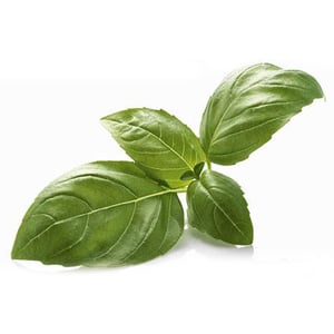 Basil Olive Oil