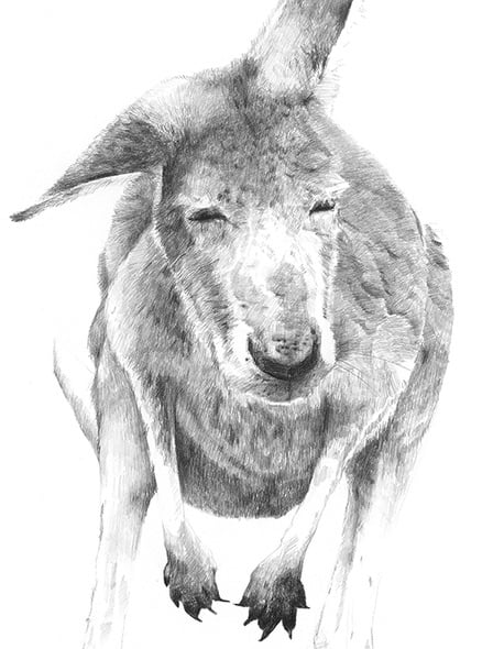 Image of 'GREY 1' Limited Edition Print