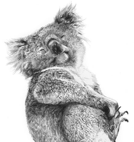 Image of 'BLISS' Limited Edition Print