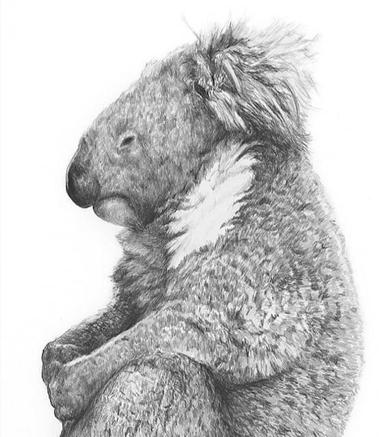 Image of 'MEDITATE' limited edition print