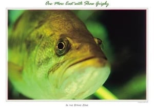 Image of Bass (close up) 18x24