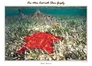 Image of Bonefish with Starfish 18x24